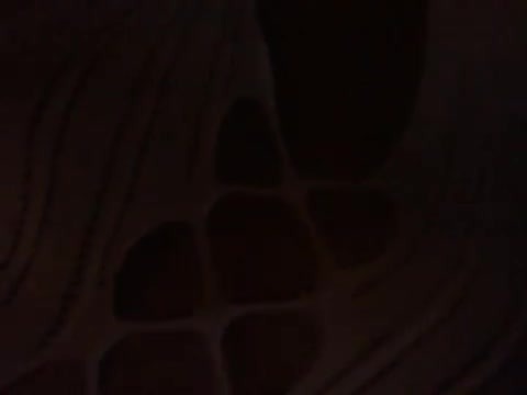 Horny Latina big ass - clip coverforeground