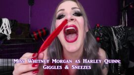 Whitney Morgan As Harley Quinn: Giggles and Sneezes - clip coverforeground
