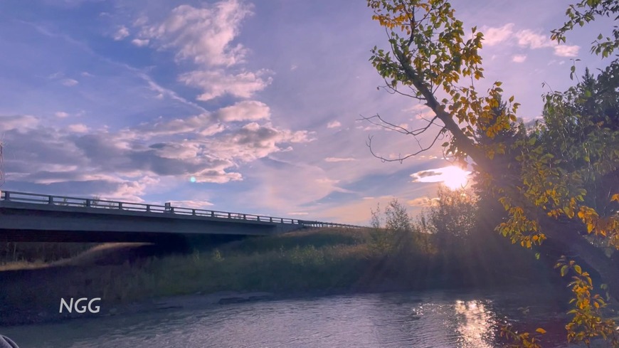 The Horny River Bridge - clip coverforeground