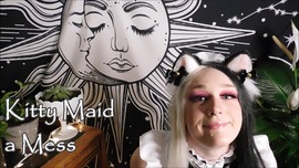 Kitty Maid a Mess