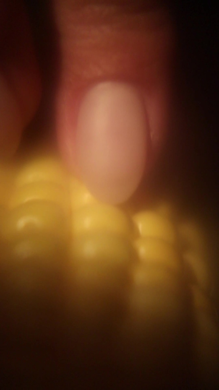 The Story of Corn ðŸŒ½ - clip cover background