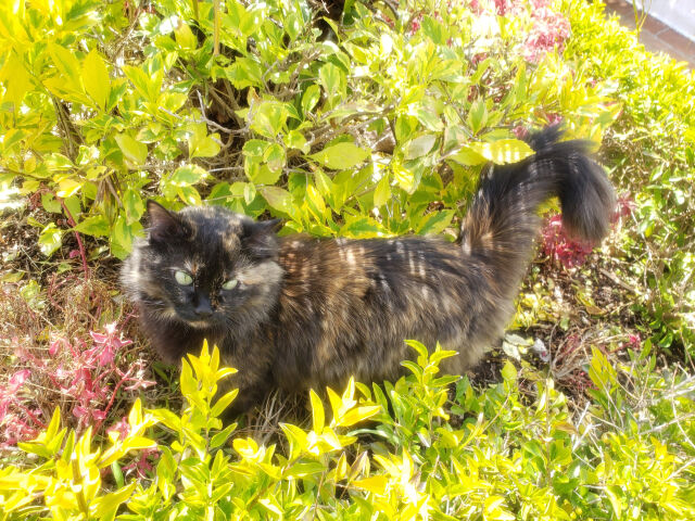 Ziny Cosky official blog