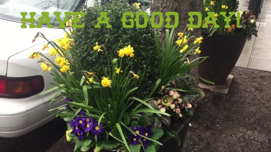 My Weekend in Seattle