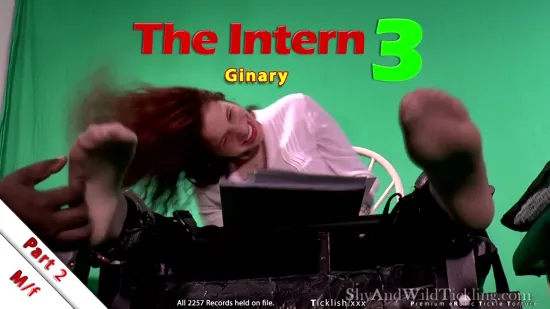 The Intern 3 Part 2