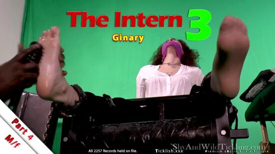 The Intern 3 Part 4