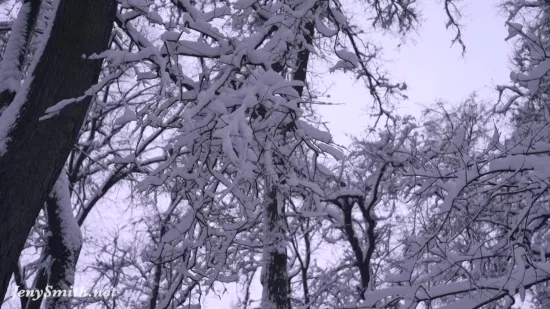 The Answer (Non Nude!)