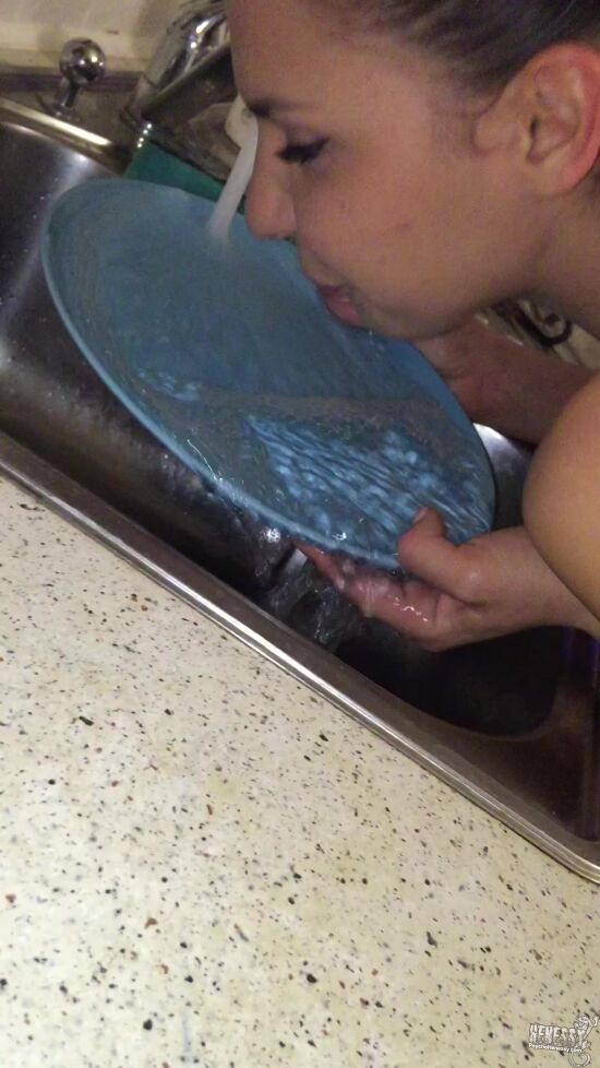 Washing the Dishes Topless