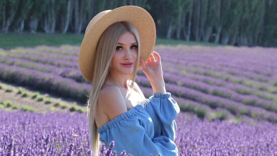 Lavender Fields