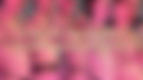 story highlight vol. 1 - post hidden image