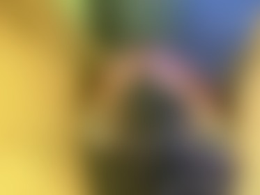 imagine 2 of this huge dick? 💦 - post hidden image