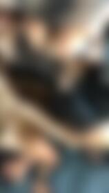 daddy ass fucks his 2 little pets on leashes (ft. emily willis) - post hidden image