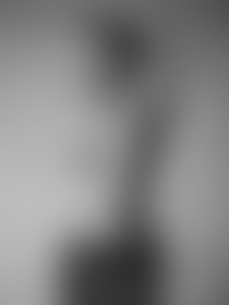 magnificent - post hidden image