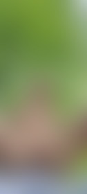 Public🥵💦💦💦💦 - post hidden image
