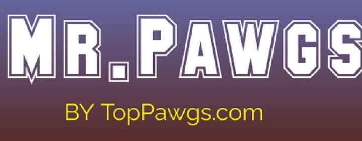 Mr.Pawgs - profile image