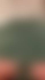 Another video - post hidden image