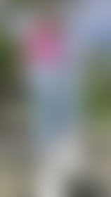 Here's a day in the city. I looked around on a scooter and occasionally sunbathed my breasts. - post hidden image