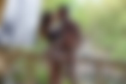 Wild memories - post hidden image