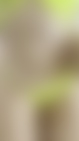 edging 2 - post hidden image