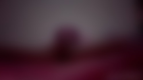 Rabbit Vib Fun - post hidden image
