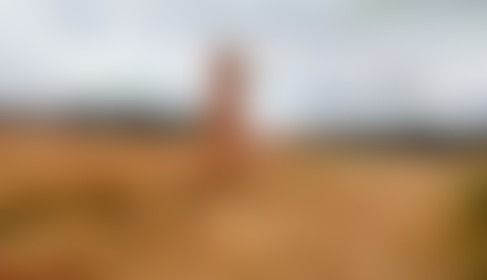 Naked in the field - post hidden image