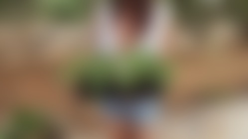 It started with seed - post hidden image