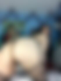 ASS. - post hidden image