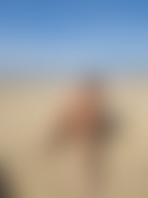 On the beach - post hidden image