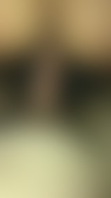 Morning cock  - post hidden image