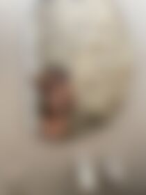 I know you like photos — I've got some right here! - post hidden image