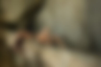 jungle soul calling - post hidden image