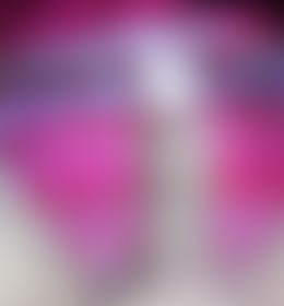 Day 1 - 17-11-2023 - post hidden image