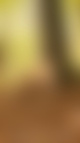 Of kom je helpen? - post hidden image