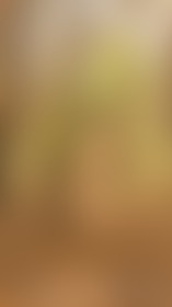 Alweer... - post hidden image