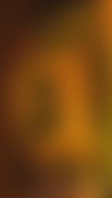 Can’t stop staring? 👀 - post hidden image