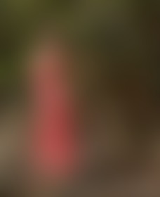 This body doesn’t come with a warning — but it should 💯 - post hidden image