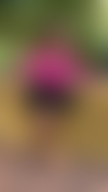 Want more? My DMs are open.😉 - post hidden image