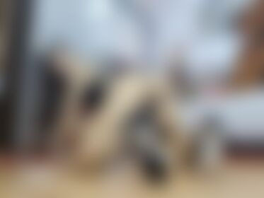 Easy access 😏😈 - post hidden image
