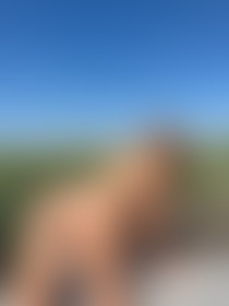 Runway to romance - post hidden image