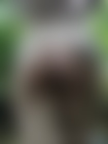 Wild curves in the wild stream 💦 - post hidden image