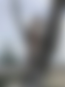 Just a beach babe branching out 🐚 - post hidden image