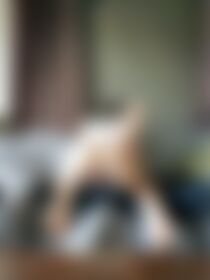 Table Action! - post hidden image