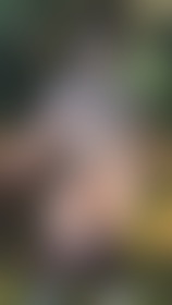 Strip tease in the wilderness - post hidden image