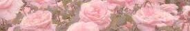 Realignorantslut - profile image