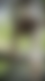 Waiting for a horny date in the cruisy bushes - post hidden image