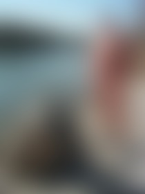 One of my fuckbuddies on datedick.com and datedicklive.com
#datedickmembers
Datedick.com is free for my fans. Just sign up and mention your onlyfans name. - post hidden image