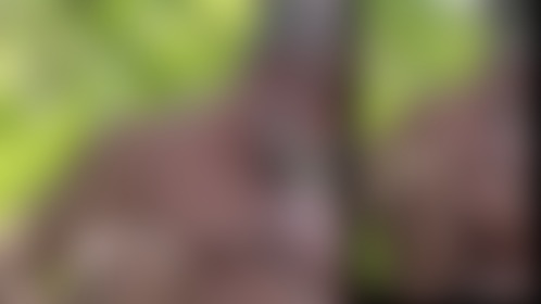 Daddy NipCoach is waiting for a buddy in the cruisy bushes - post hidden image
