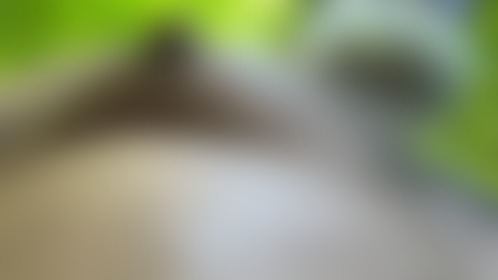 Daddy NipCoach walking in the nudist forest - post hidden image