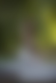 "The mortal male will worship until the ends of the earth, - post hidden image