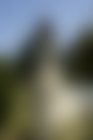 To be bound and serve your Master - post hidden image