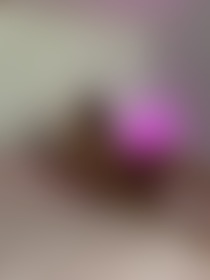 Not tired, just waiting for the right kind of distraction - post hidden image